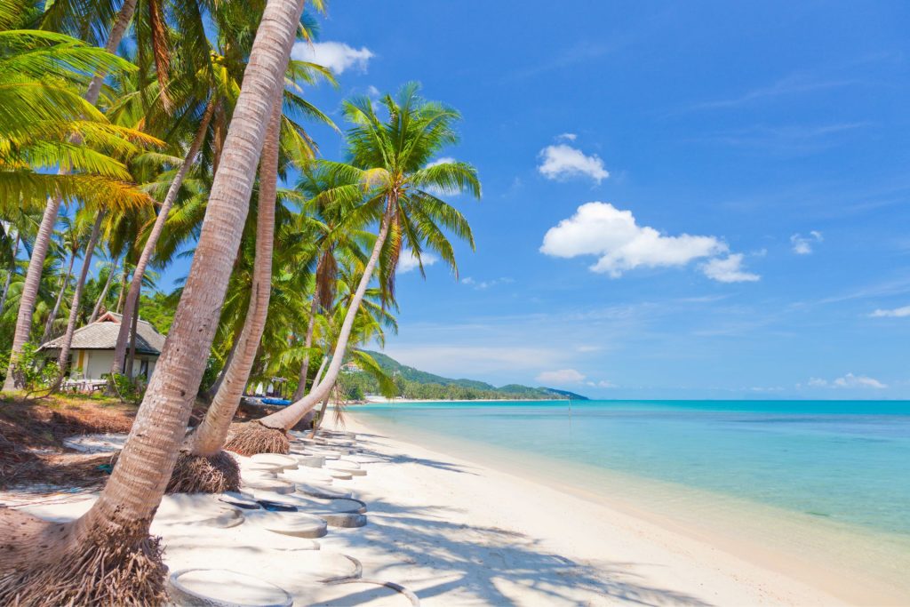 Koh Samui Houses