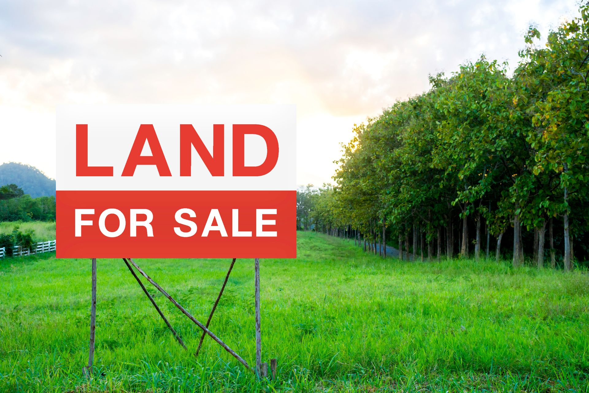 Bangkok Land Price Analysis | Property Match