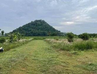 Land For Sale in Amphoe Pak Chong