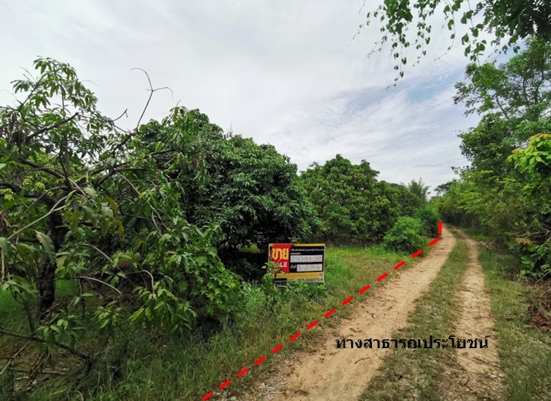 Empty land, Nong Hae House Project, Chiang Mai