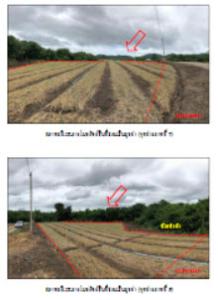 Empty land in Sang Phan, Lamphun.