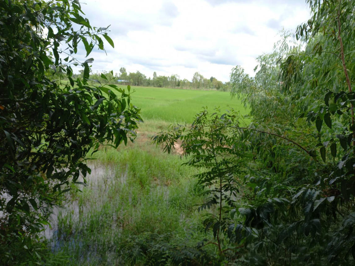 Empty land outside Sakon Nakhon Project, Phang Khon, Sakon Nakhon