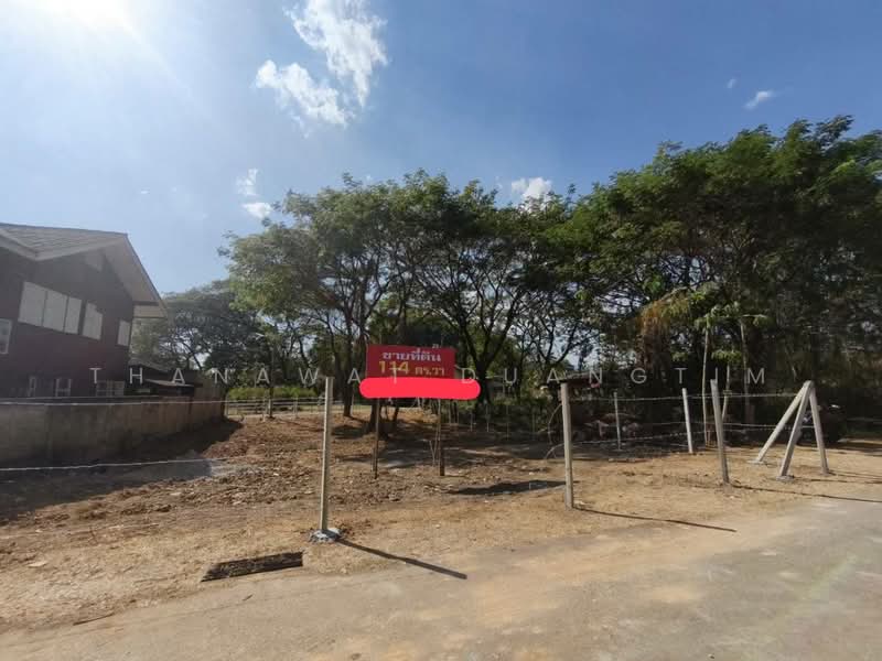 Vacant Land for Sale in Chiang Mai (Tha Sa La) – 114 Sq.Wah, Chiang Mai