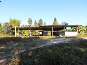 Ground for sale with building, Harg Chat, Lamphun (Lampang)