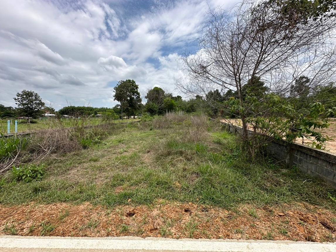 Vacant land for sale in Ubon Ratchathani province, Ubon Ratchathani.