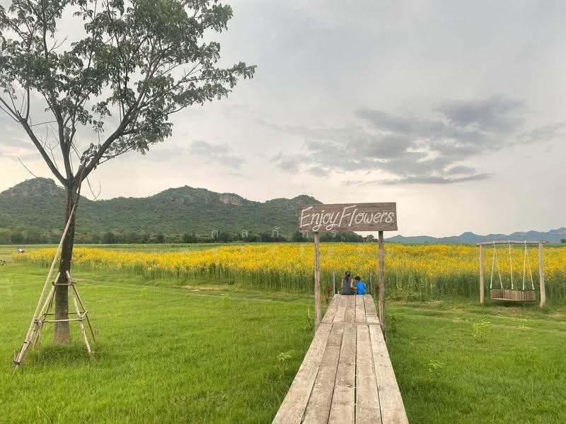 Land for sale, Rangsali, Tha Muang, Kanchanaburi, Kanchanaburi