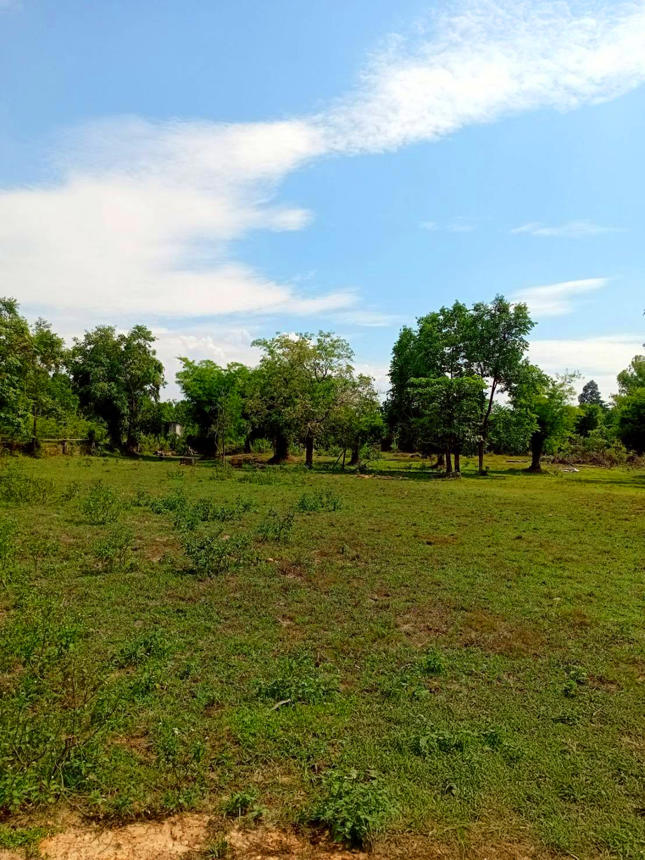 Vacant land outside Bueng Kan Project, Bueng Kan City, Bueng Kan Province