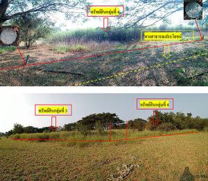 Empty Land in Photharam, Ratchaburi