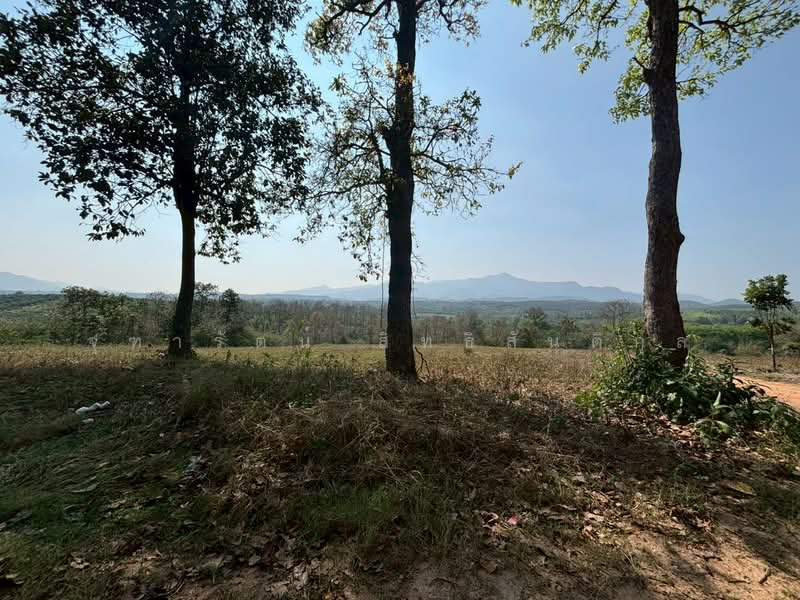 แม่ปั๋ง, Chiang Mai