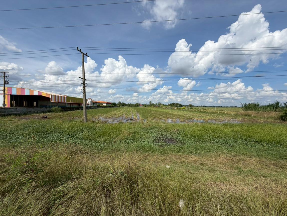 Vacant land, outside Surin Chumphon Buri, Surin Province
