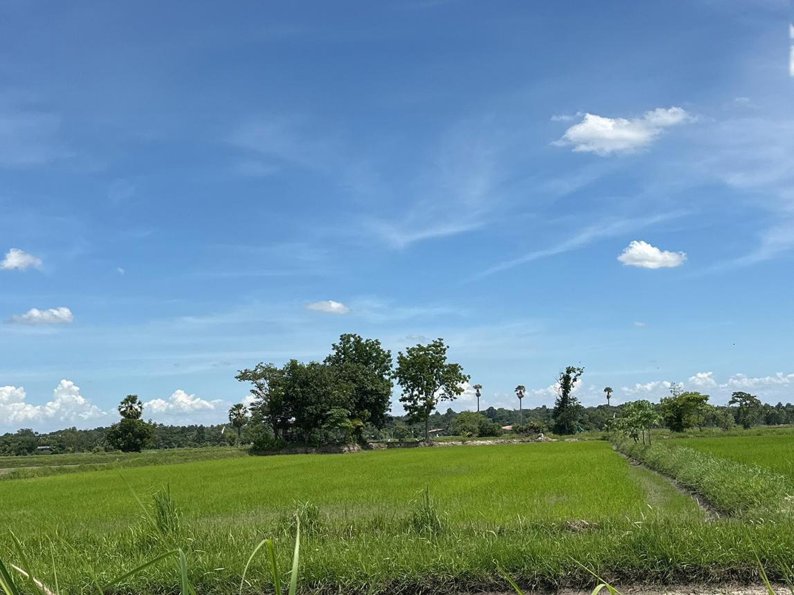 Vacant Land in Kalasin, Kalasin Municipality, Kalasin Province