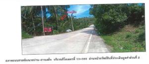 Vacant Land, Koh Phangan, Surat Thani Province