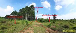 Vacant Land in Kabin Buri, Prachinburi