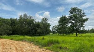 Empty Land in Chumphon City, Chumphon Province
