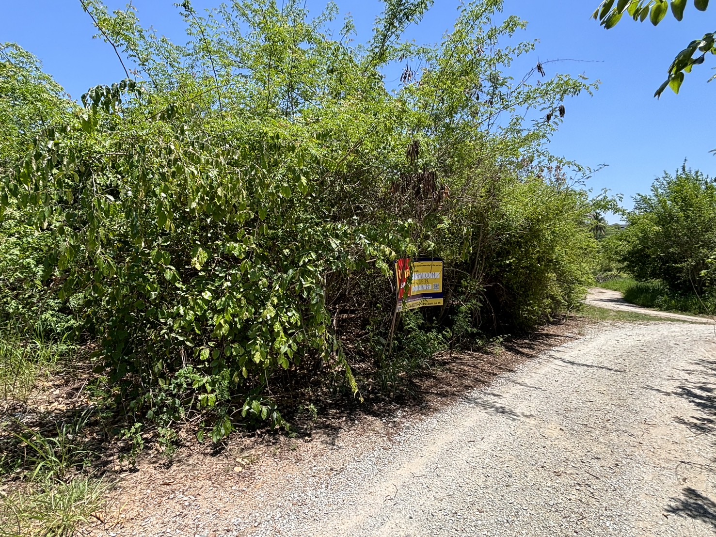 Vacant land, Inthanon House Project, Chiang Mai