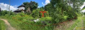 Empty land for sale in Yan, Songkhla Province