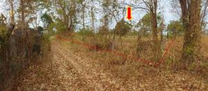 Empty land in Nong Bua Lamphu City, Nong Bua Lamphu Province