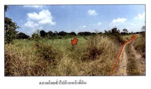 Empty Land in Nong Suea, Pathum Thani