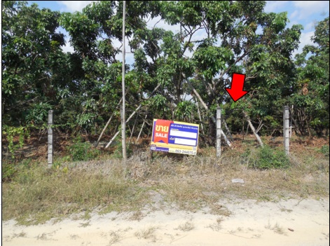 Empty Land in Chiang Mai