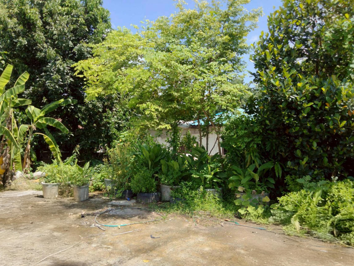 Vacant land outside the Surin Project, Surin City, Surin Province