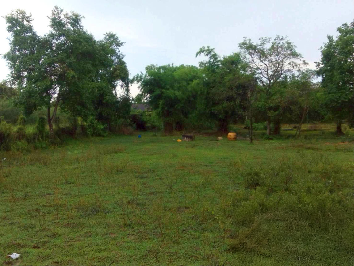 Vacant land outside Bueng Kan Project, Bueng Kan City, Bueng Kan Province