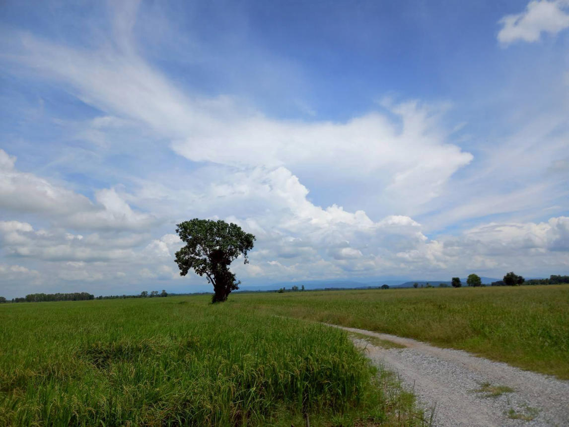 Empty land outside Phitsanulok, Klong Toey, Bangkok.