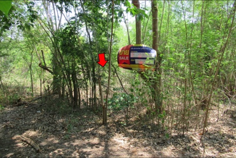 Empty land, Chom Thong Dewdrop project, Chiang Mai.