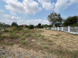 Empty Land in Bang Sao Thong, Samut Prakan