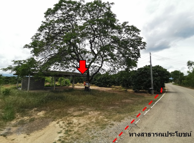 Empty land, Nong Hae House Project, Chiang Mai