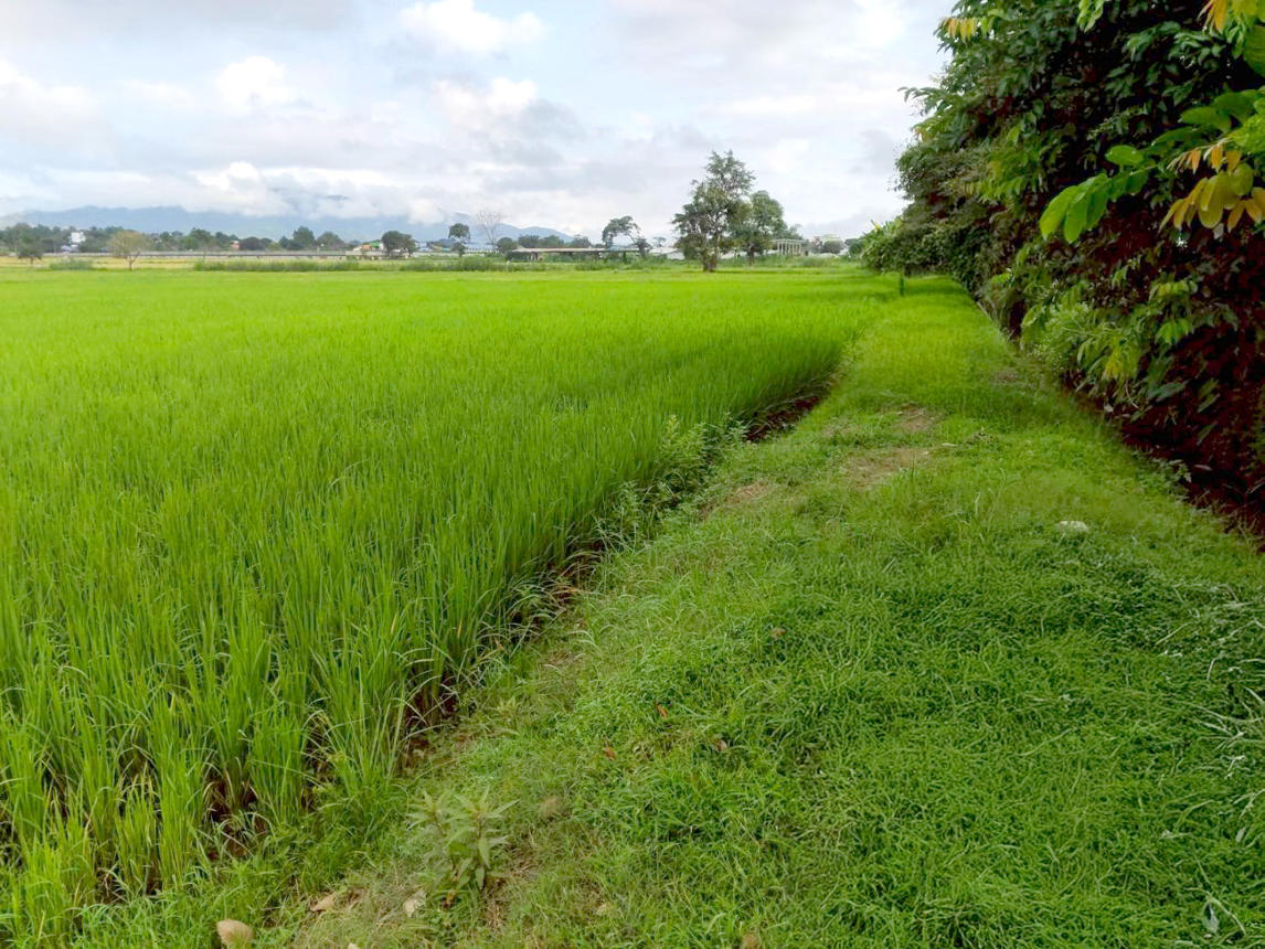 Vacant land outside Chiang Rai Project, Chiang Rai City, Chiang Rai Province