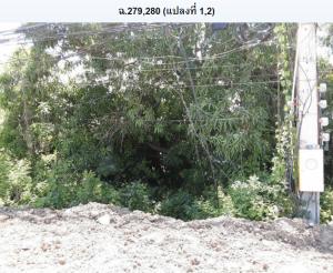 Empty Land in Lopburi Province, Lopburi