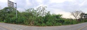 Empty land in Nong Bua Lamphu City, Nong Bua Lamphu Province