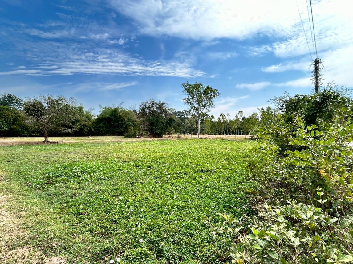 Vacant land located outside the Maha Sarakham project, Kantharawichai, Maha Sarakham.