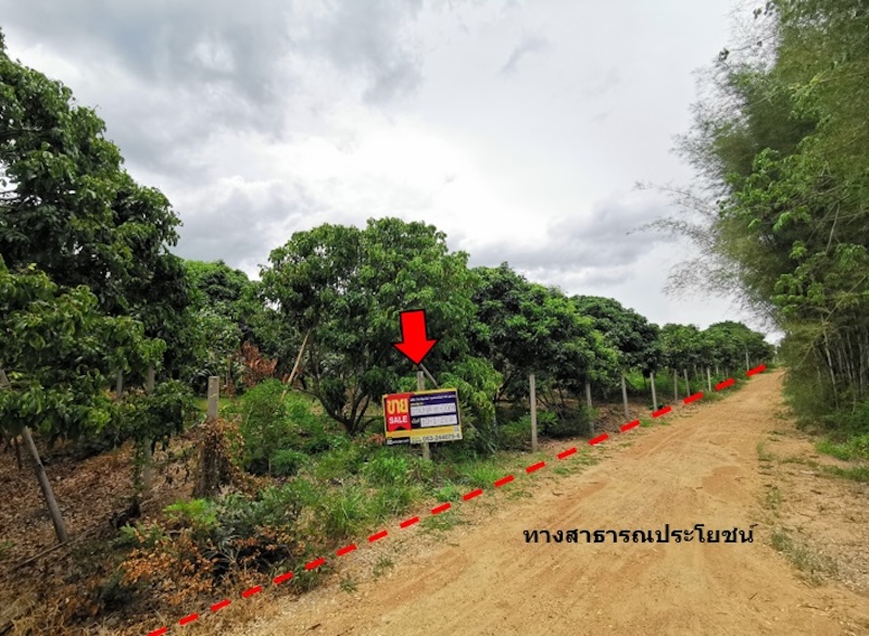 Empty land, Nong Hae House Project, Chiang Mai