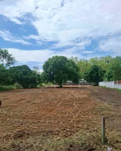 Land for sale behind Nong Nooch Garden, near Maejo University, Chiang Mai, chiang-mai