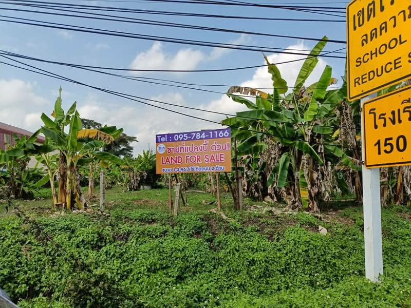 เมืองเชียงราย, Chiang Rai