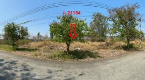 ที่ดินเปล่า บางปะกง จังหวัดฉะเชิงเทรา