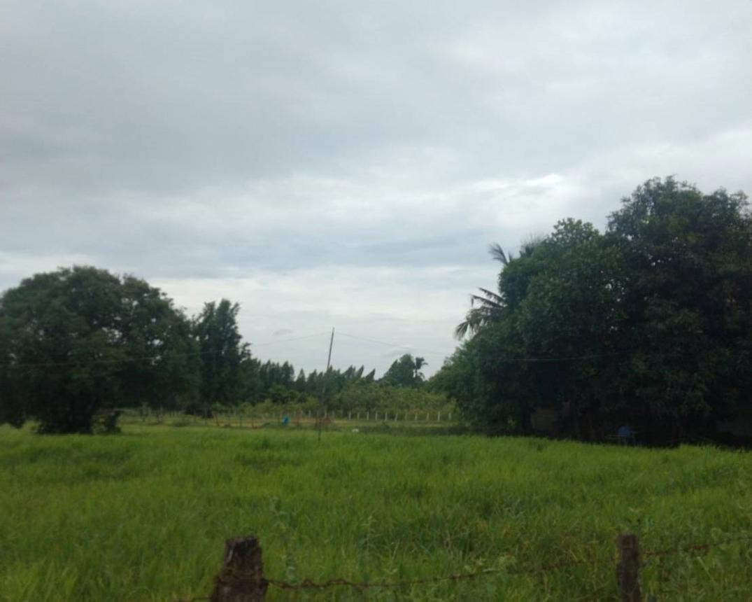Vacant Land in Nakhon Phanom, Na Kae, Nakhon Phanom